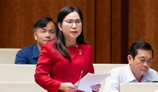 ĐBQH đề xuất coi việc sinh đủ 2 con là trách nhiệm xã hội gắn với mục tiêu phát triển bền vững của đất nước