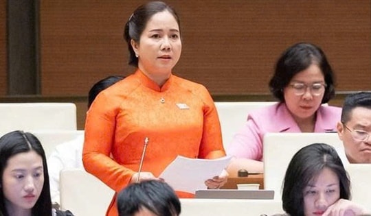 ĐBQH: Một lượng tài sản lớn trong dân vẫn nằm ngoài hệ thống tài chính