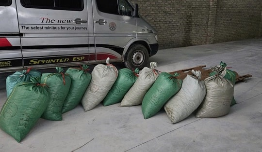 Buôn bán gần 900kg vảy tê tê cực kỳ quý hiếm, lĩnh án 8 năm tù