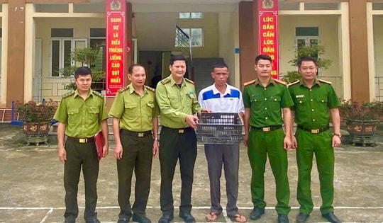Gần 50 động vật quý hiếm hồi sinh giữa đại ngàn xứ Thanh