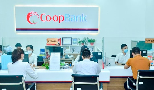 Kết luận thanh tra Co-opBank Hà Nam