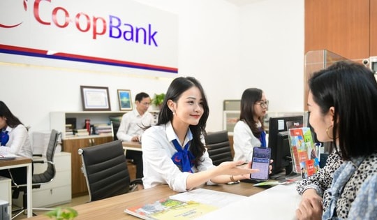 Thanh tra NHNN yêu cầu Co-opBank kiểm điểm, rút kinh nghiệm
