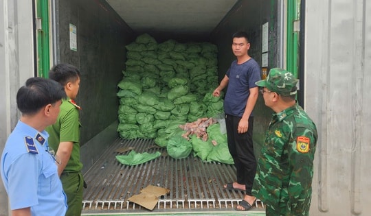 Khám 3 kho hàng vùng biên, phát hiện hơn 25 tấn chân lợn, cánh gà đông lạnh không rõ nguồn gốc