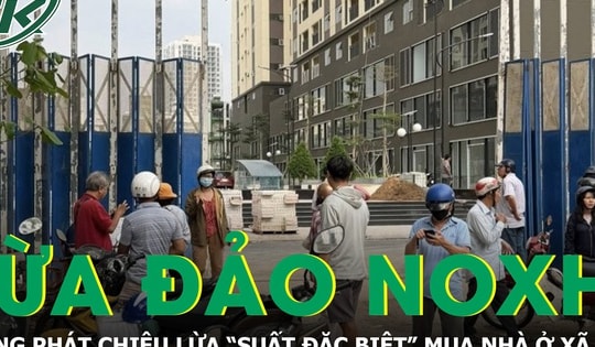 Bùng phát chiêu lừa 'suất đặc biệt' nhà ở xã hội