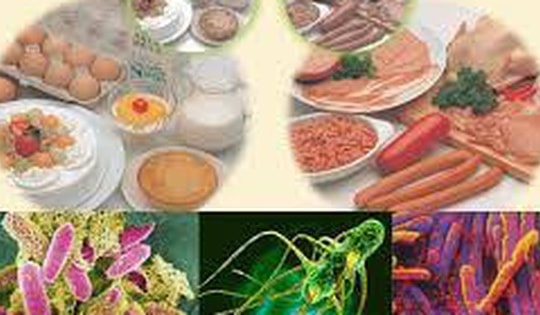 Bộ Y tế yêu cầu truy suất nguồn gốc thực phẩm vụ hơn 40 học sinh nghi ngộ độc ở Cà Mau