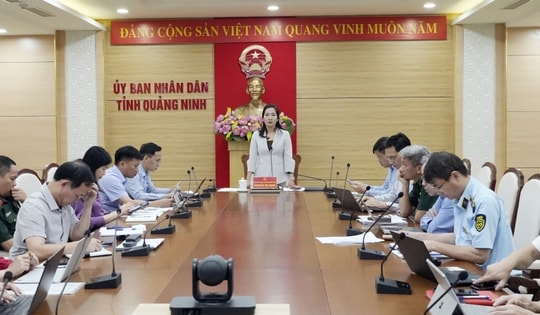 Vi phạm ATTP diễn biến phức tạp: Nhiều vụ sản xuất thực phẩm 'bẩn' bị khởi tố hình sự