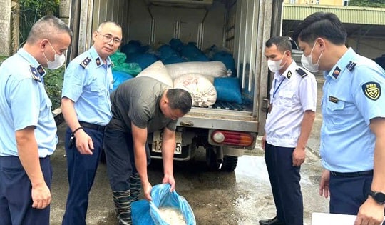 Hơn 1 tấn lòng lợn bốc mùi ôi thiu trong ô tô tải