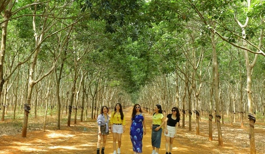 Kinh nghiệm đi du lịch tiết kiệm tiền nhiều lợi ích