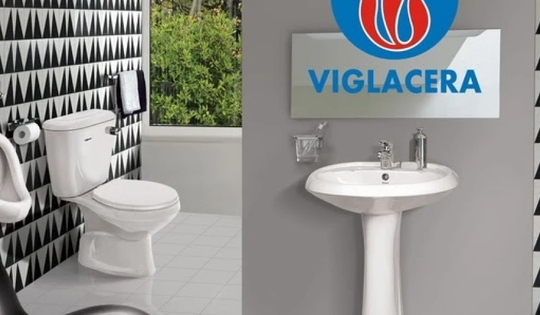 Viglacera bị phạt hơn 1,1 tỷ đồng và đình chỉ giao dịch chứng khoán 3 tháng