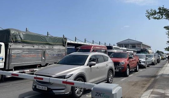 Du khách xếp hàng từ 4 giờ sáng để ra đảo Cát Bà