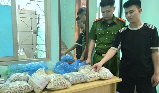 Sử dụng chất cấm sản xuất 2 tấn giá đỗ