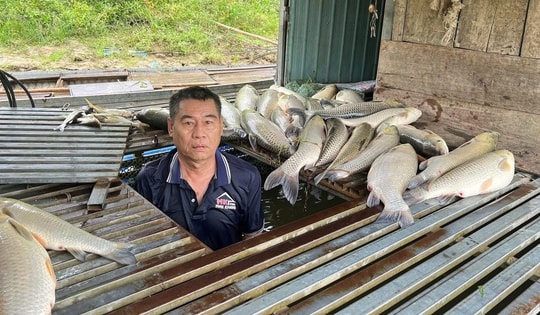Cá lồng bè chết bất thường trên sông Lam, xã đề nghị tỉnh tìm nguyên nhân