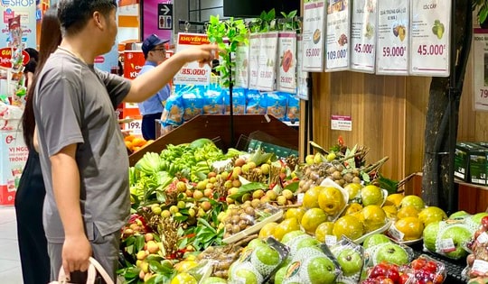 Vài u đầu mùa giá cả trăm nghìn đồng/kg nhưng vẫn ‘được lòng’ người tiêu dùng
