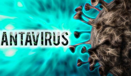 Bộ Y tế lên tiếng về virus Hanta sau chùm ca tử vong trên tàu du lịch nước ngoài