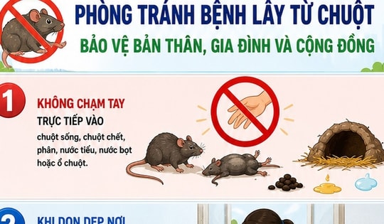 [Infographic] 5 khuyến cáo phòng bệnh virus Hanta