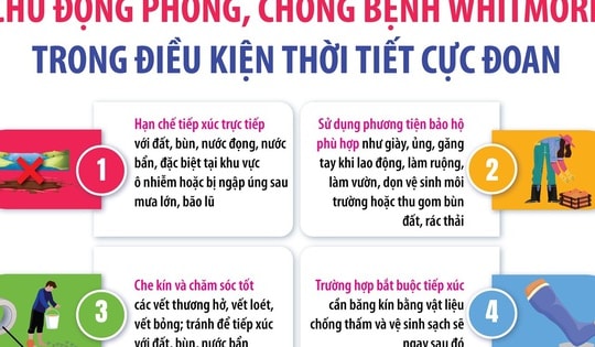 Chủ động phòng, chống bệnh Whitmore trong điều kiện thời tiết cực đoan