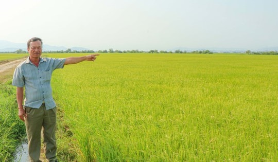 Kỳ lạ: Khu đất ở làng gốm Chăm Bàu Trúc múc lên rồi lại tự đầy