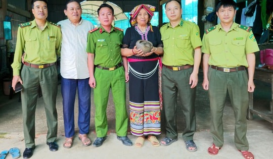 Phát hiện 'khách lạ' đi lạc vào vườn, người dân giao nộp tê tê quý hiếm