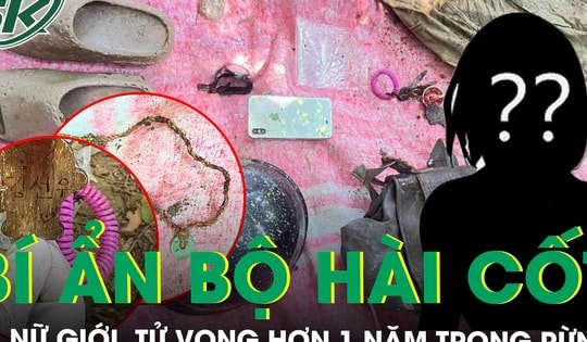 Bí ẩn bộ hài cốt trong rừng Sơn Trà: Nữ giới tử vong hơn 1 năm, không giấy tờ