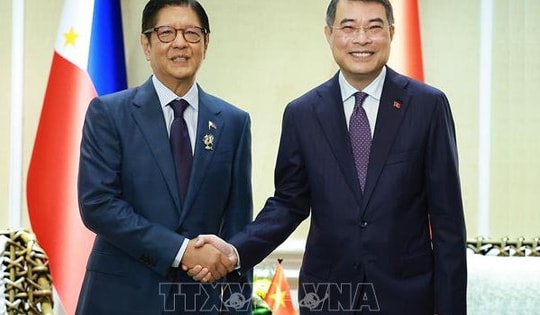 Thủ tướng Lê Minh Hưng gặp Tổng thống Philippines