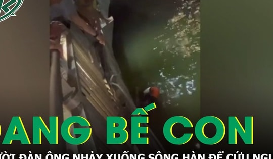 Khoảnh khắc nghẹt thở: Đang đi dạo cùng vợ con, người đàn ông nhảy xuống sông Hàn cứu người