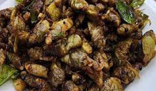 Bộ Y tế yêu cầu xác minh, xử lý vụ 9 người nhập viện sau khi ăn ve sầu ở Quảng Trị