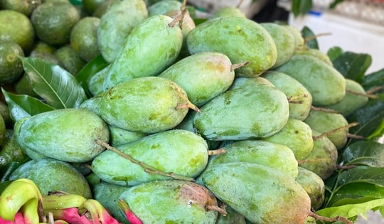 Xoài hạt lép là xoài gì mà được nhiều người tiêu dùng tiêu thụ 'chóng mặt' đến vậy?