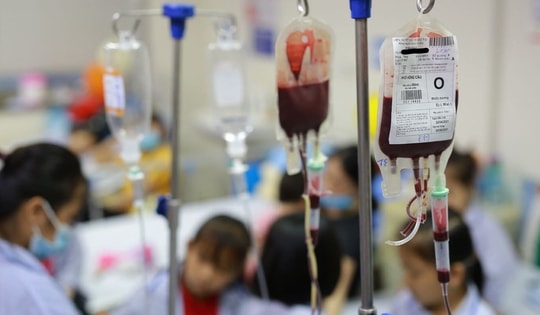 Ngày Thalassemia Thế giới (8/5): Nhiều người mang gen bệnh mà không biết