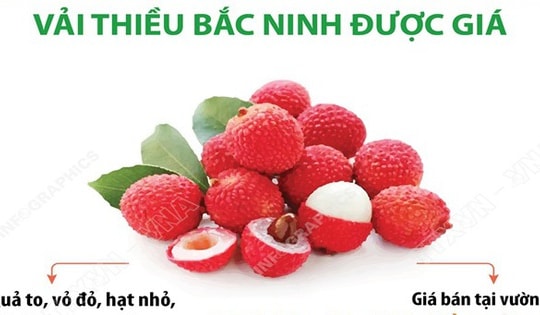 Niên vụ 2026: Vải thiều Bắc Ninh được giá