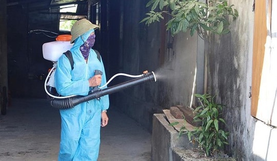 Xuất hiện thêm ổ dịch sốt xuất huyết, Hà Tĩnh tăng tốc phòng chống