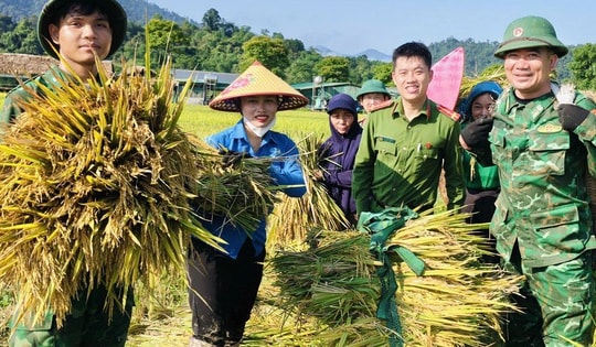 Công an, bộ đội dầm mưa giúp dân cứu lúa sau dông lốc ở Nghệ An
