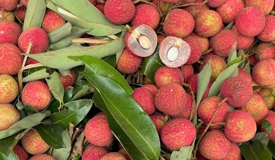 Nguyên nhân nào khiến giá vải tươi năm nay có giá cao chót vót?