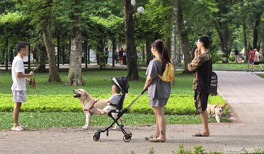 Dạo công viên trong nỗi thấp thỏm vì chó không rọ mõm