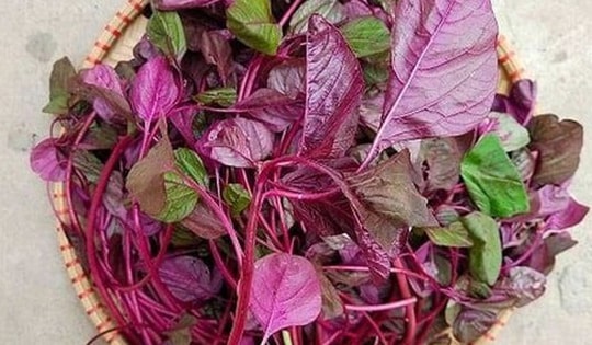 5 lý do để ăn rau dền ngay hôm nay