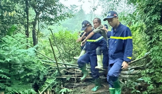 Hơn 300 người tìm kiếm nạn nhân mất tích khi đi hái dược liệu trong rừng ở Tuyên Quang