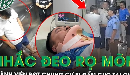 Nhắc đeo rọ mõm cho chó, thành viên Ban Quản trị chung cư bị đấm gục tại chỗ