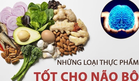 Các chất bổ sung cải thiện trí nhớ trong mùa thi: Hiểu đúng để dùng hiệu quả