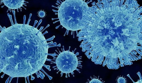 Hơn 1.700 người bị cách ly trên du thuyền sau khi 1 trường hợp tử vong do nghi nhiễm norovirus