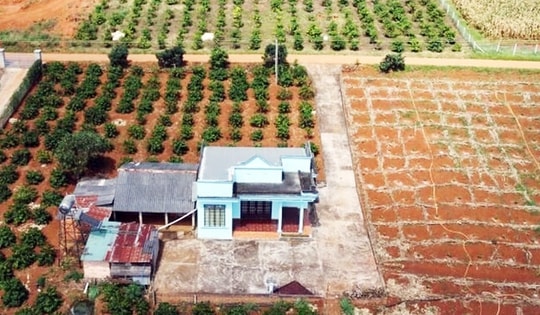 Thủ tục chuyển đất trồng cây lâu năm sang đất ở theo quy định mới