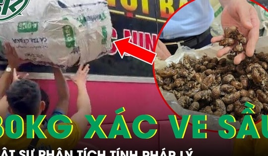 Tranh cãi vụ 80 kg xác ve sầu khô bị giữ ở Lạng Sơn: Luật sư phân tích tính pháp lý