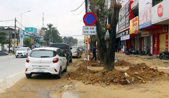 Đề nghị truy tố vắng mặt Chủ tịch công ty cây xanh Công Minh