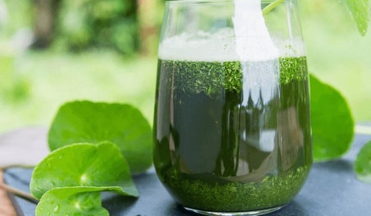 Rau má tươi hay rau má khô tốt hơn để thanh nhiệt và làm đẹp da?