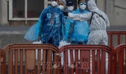 Virus Hanta: EU tăng cường chia sẻ thông tin nhằm nâng cao hiệu quả ứng phó