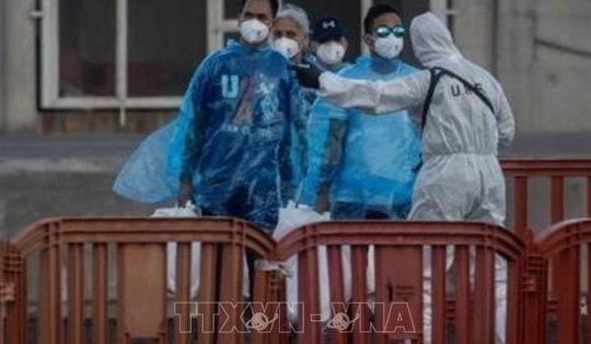 Virus Hanta: Nhiều nước giám sát chặt hành khách liên quan ổ dịch trên du thuyền