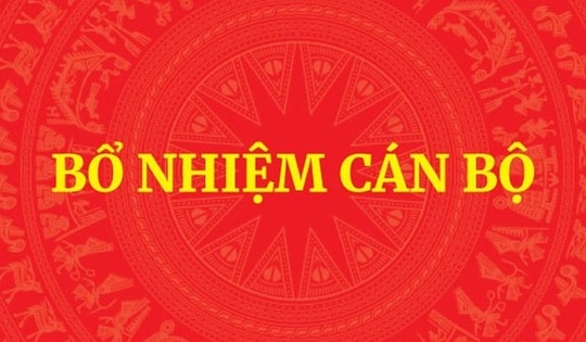 Điều động, bổ nhiệm Trợ lý Thủ tướng và Trợ lý Phó Thủ tướng Thường trực Chính phủ