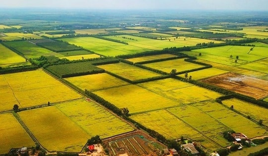 Bộ NN&MT giải đáp thời hạn sử dụng đất nông nghiệp không ghi trên sổ đỏ