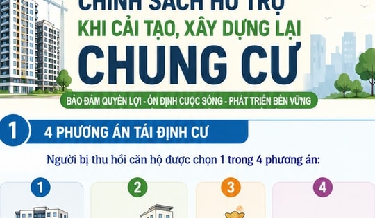 [Infographic] Hà Nội đề xuất 4 hình thức tái định cư khi cải tạo chung cư cũ