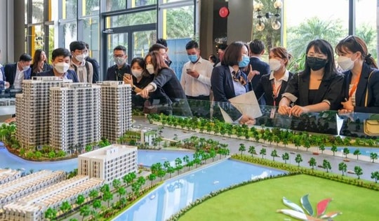 Sở Xây dựng Hà Nội yêu cầu loạt sàn bất động sản báo cáo, rà soát pháp lý