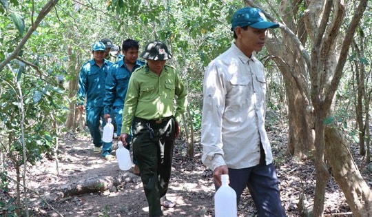Những người lặng thầm giữ 'lá phổi xanh' cho nơi có nhiều loài động vật quý hiếm sinh sống