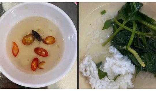 Sở Y tế TP Huế thông tin kết quả xác minh phản ánh 'canh rau có sâu'